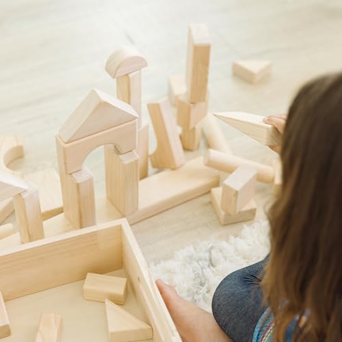 Solid Wood Building Blocks Sorting and Stacking Set 60 Pieces