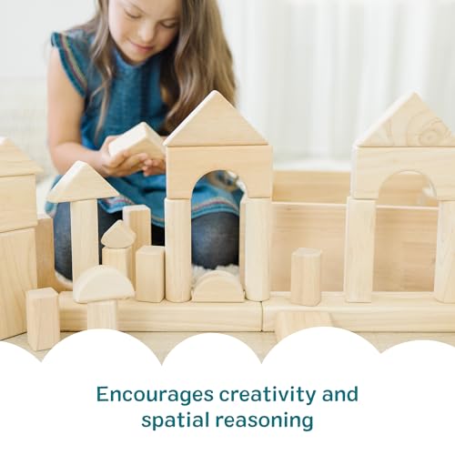 Solid Wood Building Blocks Sorting and Stacking Set 60 Pieces
