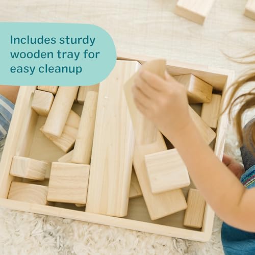 Solid Wood Building Blocks Sorting and Stacking Set 60 Pieces