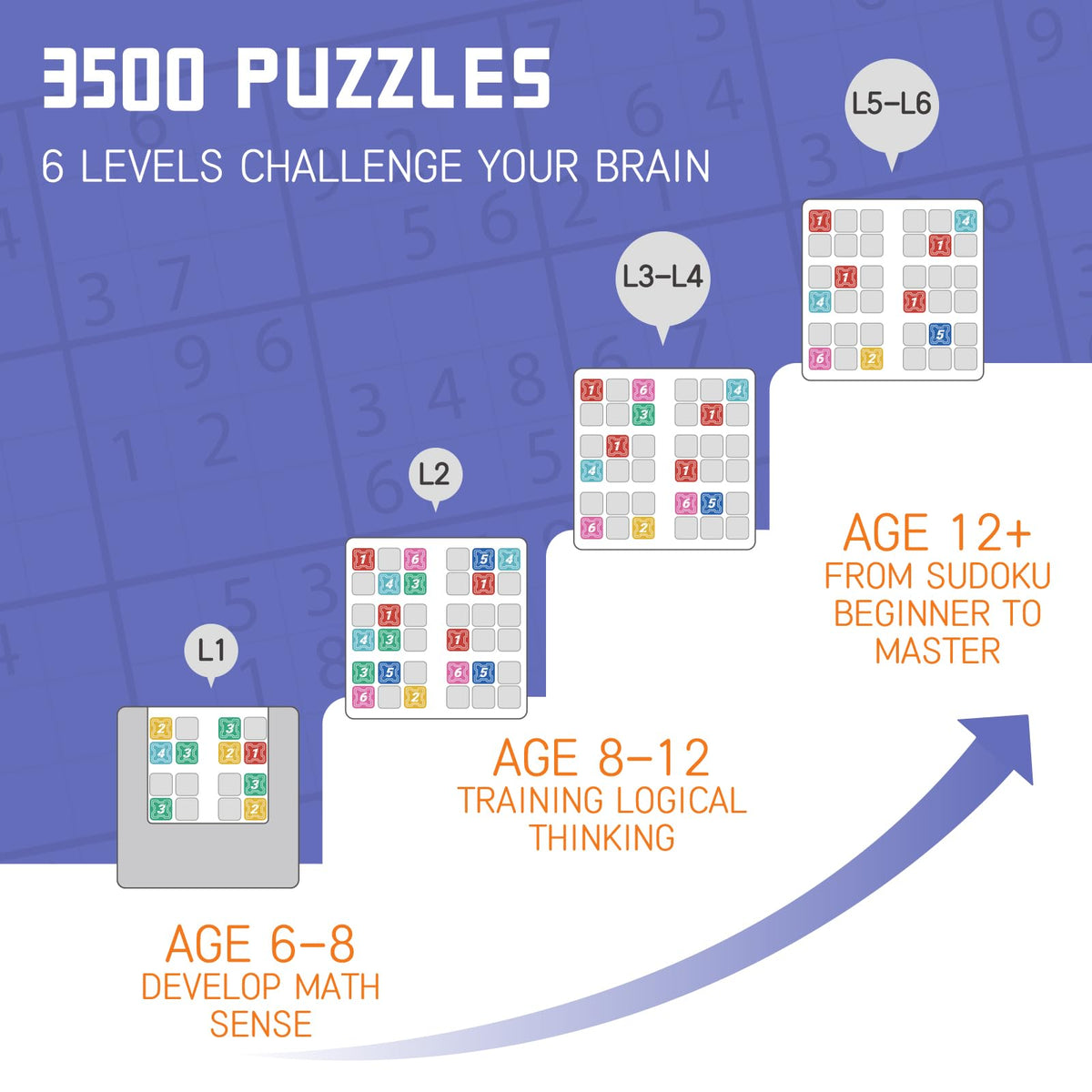 Electronic Sudoku Logic Puzzle Learning Game for Kids