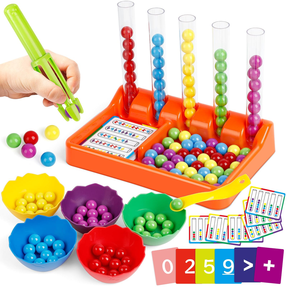 Counting Color Sorting Fine Motor Learning Kit