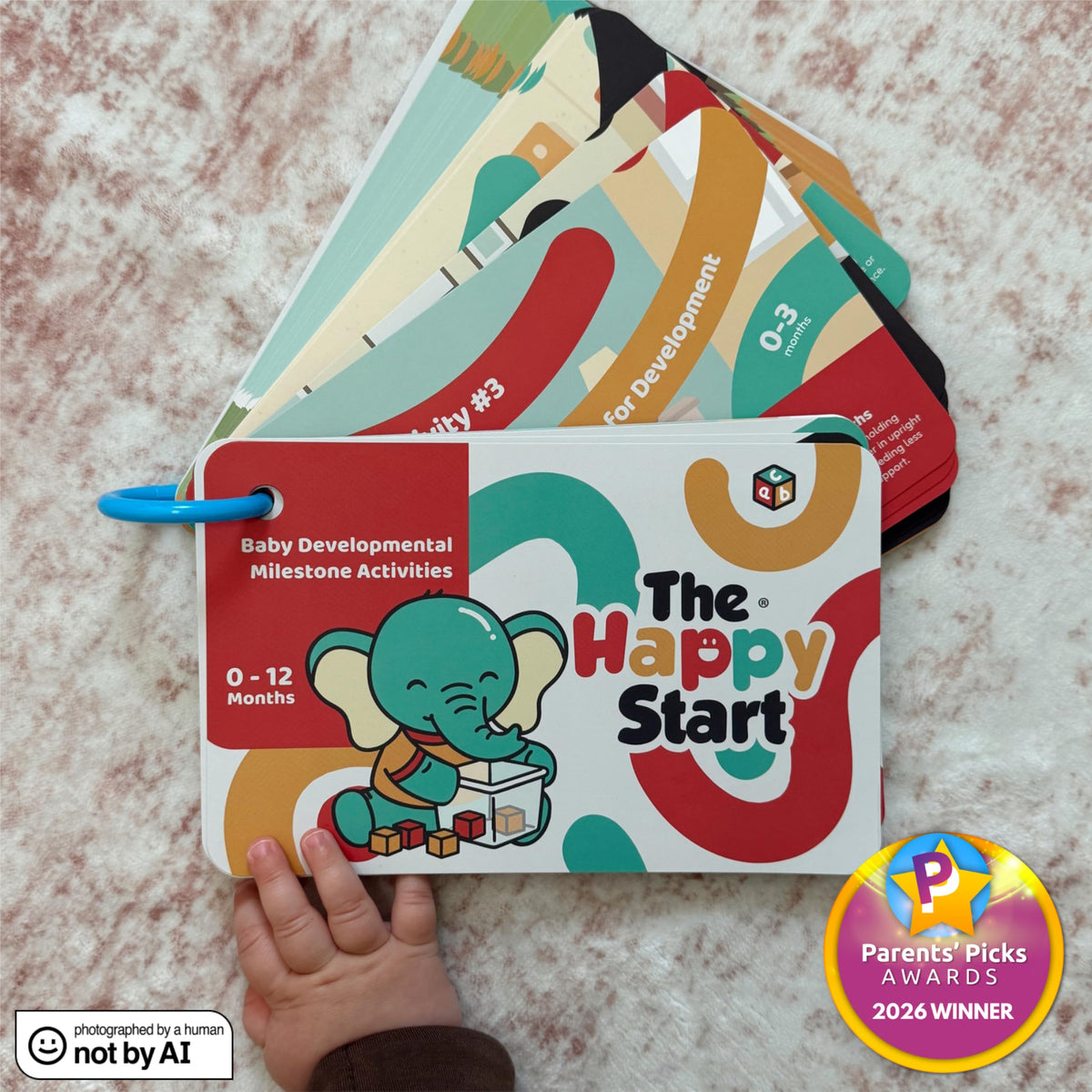 Baby Milestone Activity Cards for Ages 0 to 12 Months