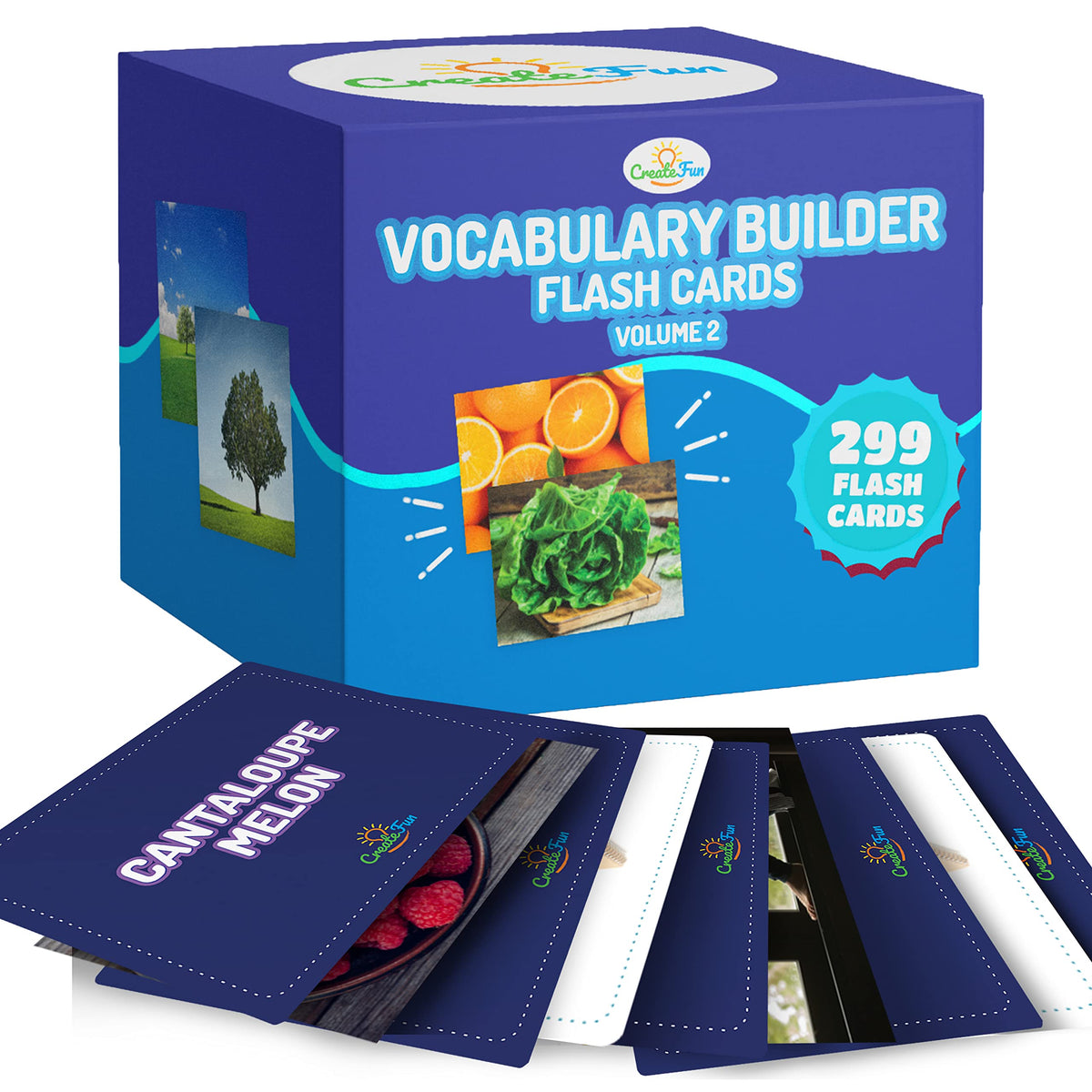 Vocabulary Builder Flash Cards 300 Educational Photo Cards